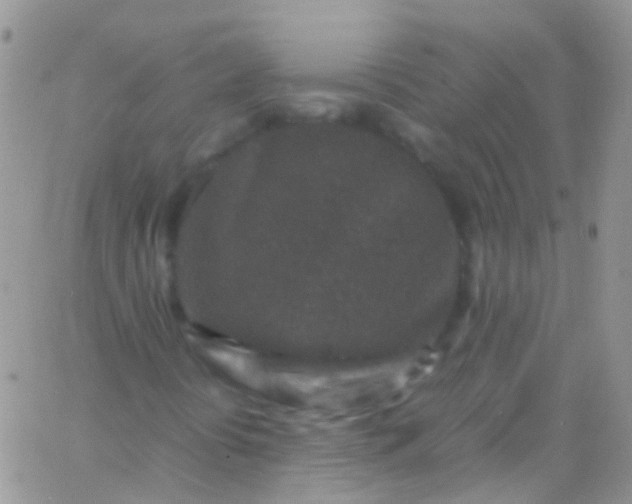 X0000066001394200603172153