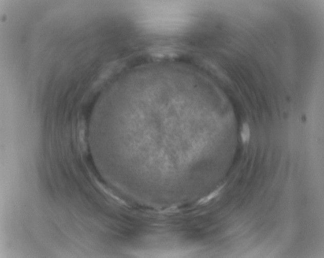 X0000066001396200603172153