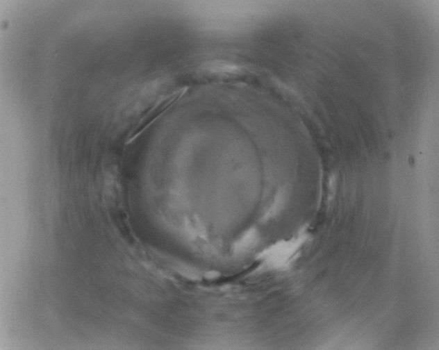 X0000066001397200603172154