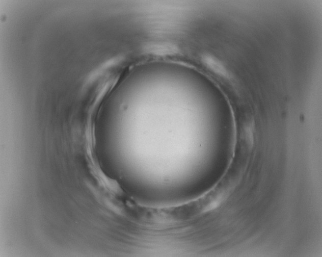 X0000066001398200603172154