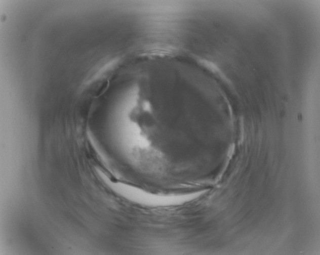 X0000066001399200603172154