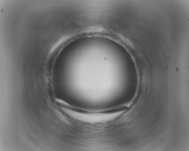 X0000066001400200603172154