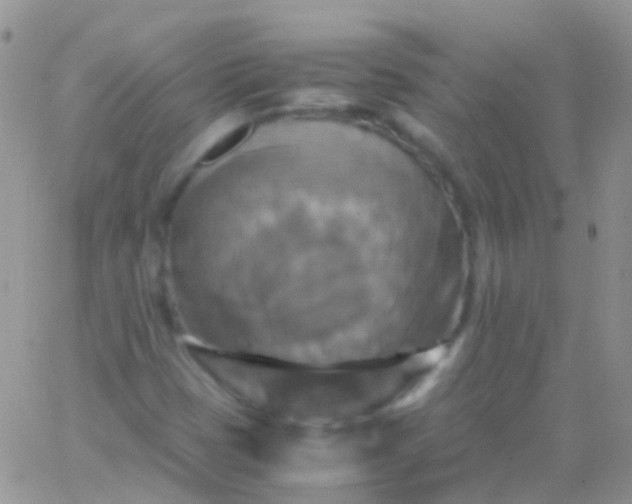 X0000066001401200603172154