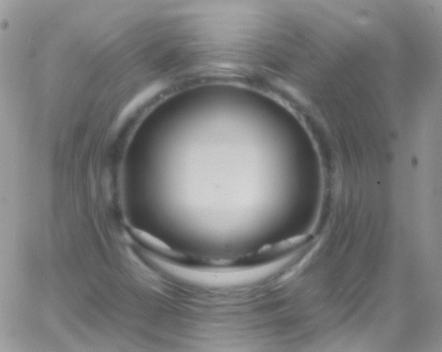 X0000066001402200603172154