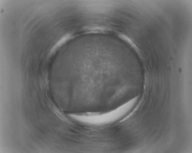 X0000066001403200603172154