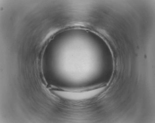 X0000066001404200603172154