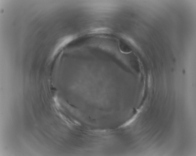 X0000066001405200603172154