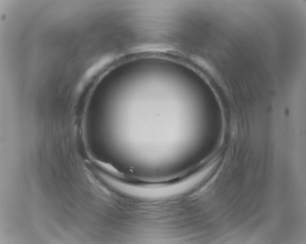 X0000066001406200603172154