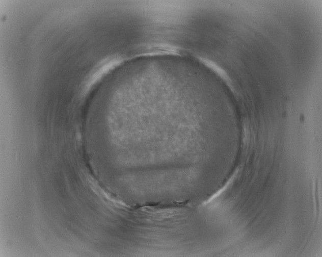 X0000066001407200603172154