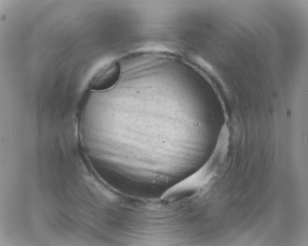 X0000066001408200603172154