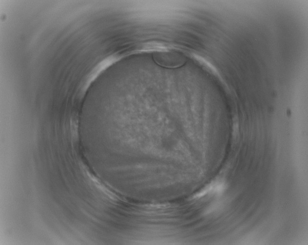 X0000066001409200603172154