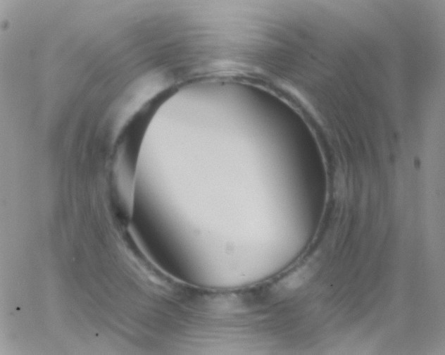 X0000066001410200603172154