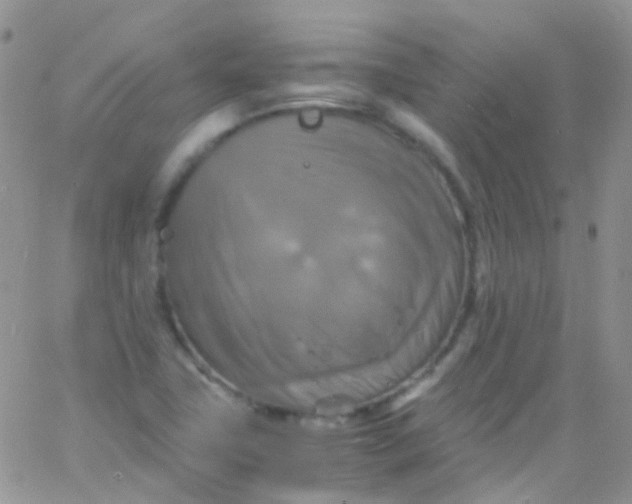 X0000066001411200603172154