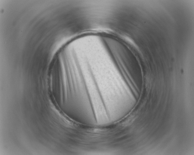 X0000066001412200603172154