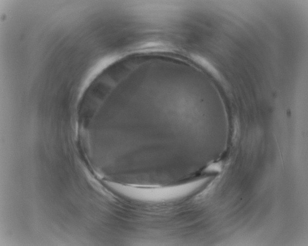 X0000066001413200603172154