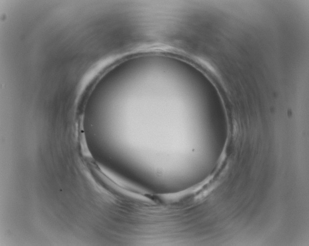 X0000066001414200603172154