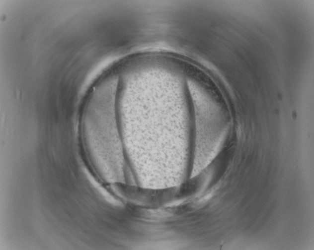 X0000066001416200603172154