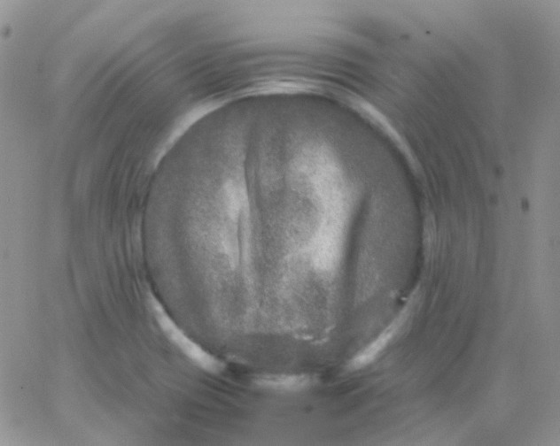 X0000066001417200603172154