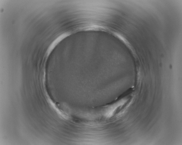 X0000066001418200603172154