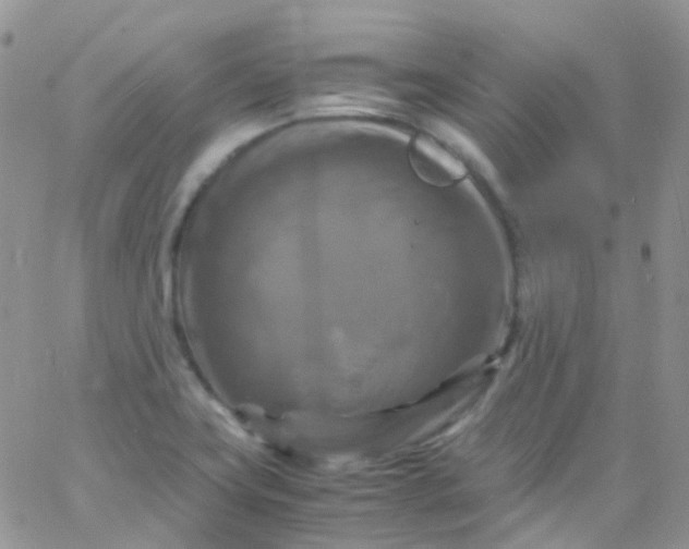 X0000066001419200603172154