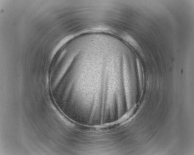 X0000066001420200603172154