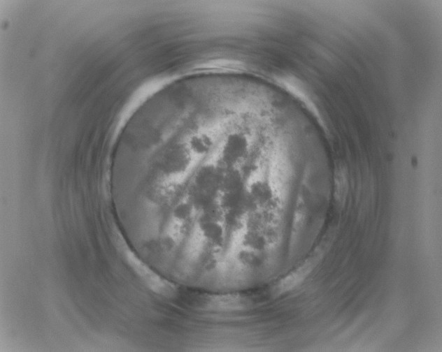 X0000066001421200603172154