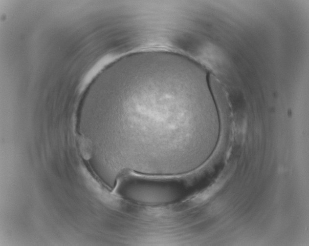 X0000066001422200603172154