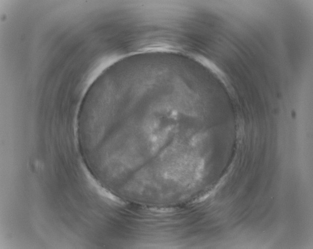 X0000066001423200603172154