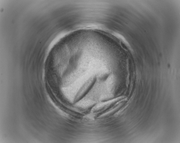 X0000066001424200603172154