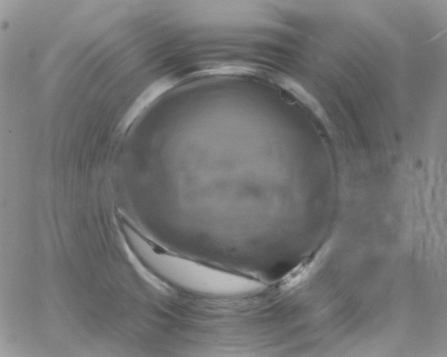 X0000066001425200603172154