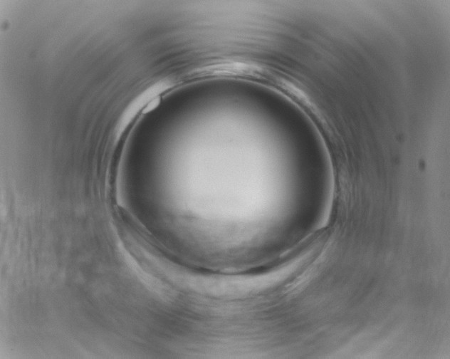 X0000066001426200603172154