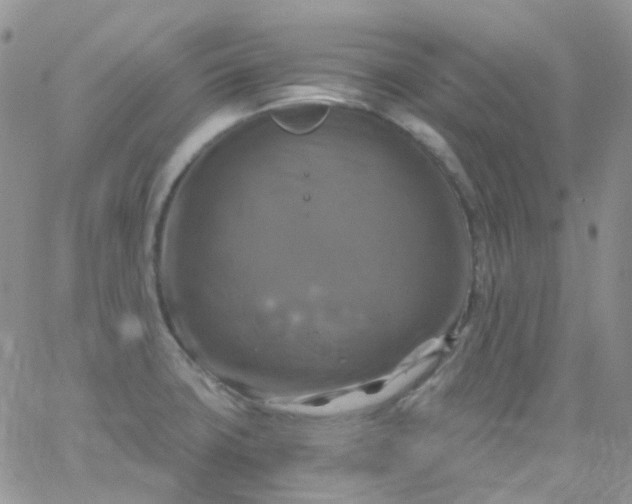 X0000066001427200603172154