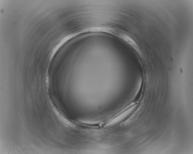 X0000066001428200603172154