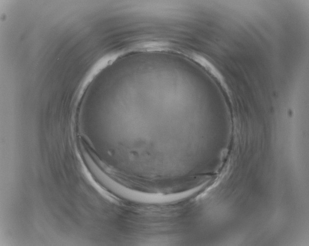 X0000066001429200603172154