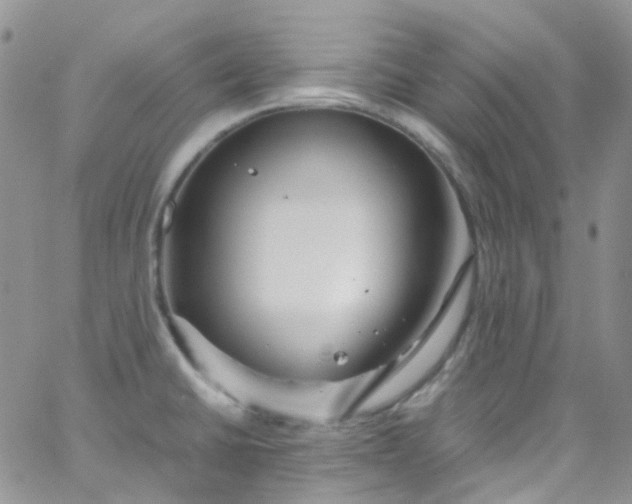 X0000066001430200603172154