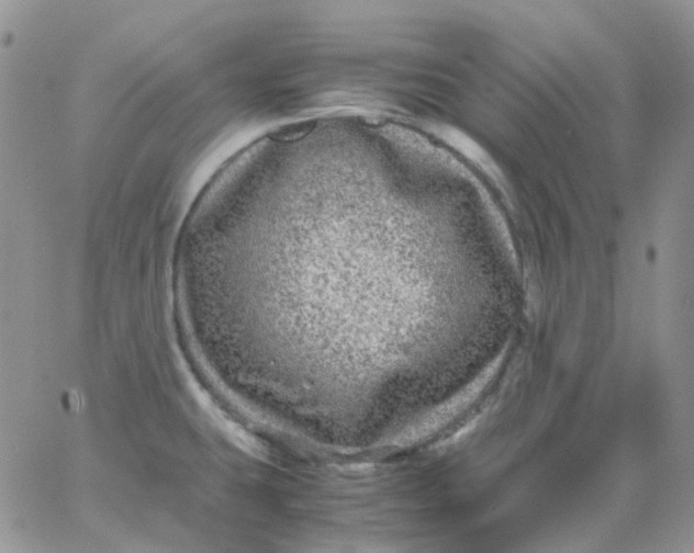 X0000066001431200603172154