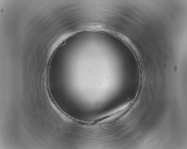 X0000066001432200603172154