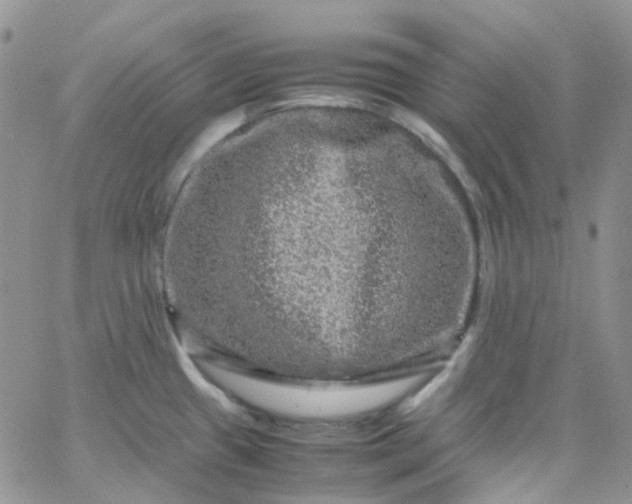 X0000066001433200603172154