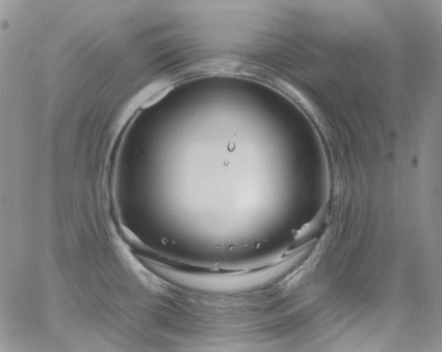 X0000066001434200603172154