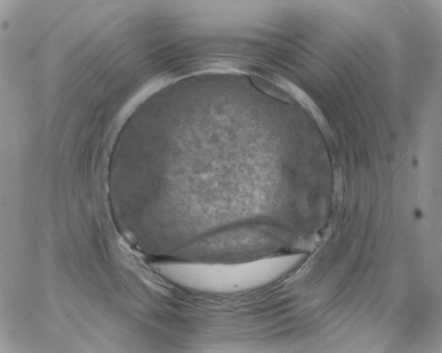 X0000066001435200603172154