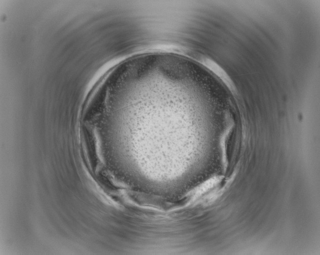 X0000066001436200603172154