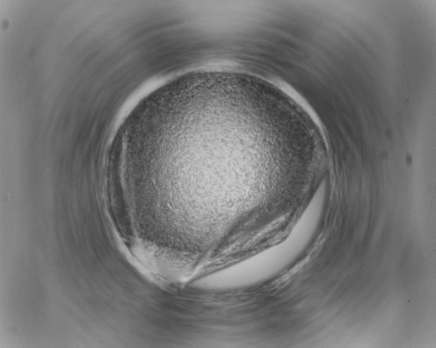 X0000066001437200603172154