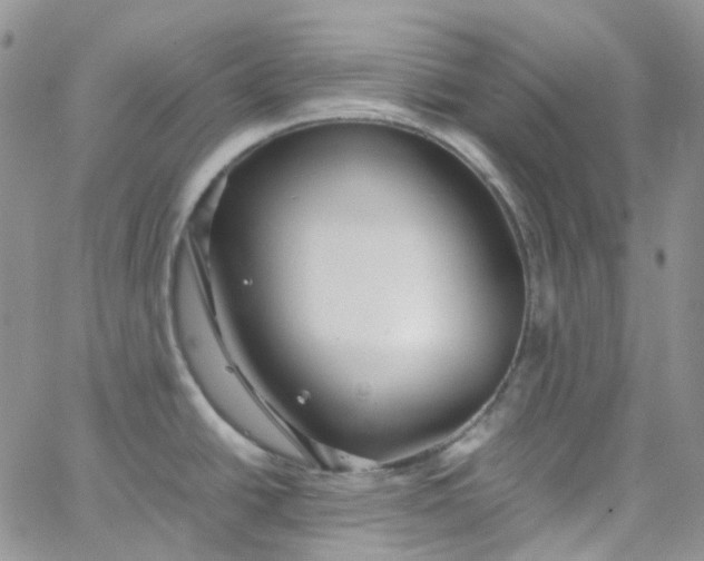 X0000066001438200603172154