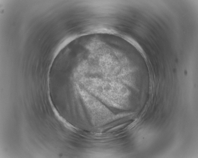 X0000066001439200603172154