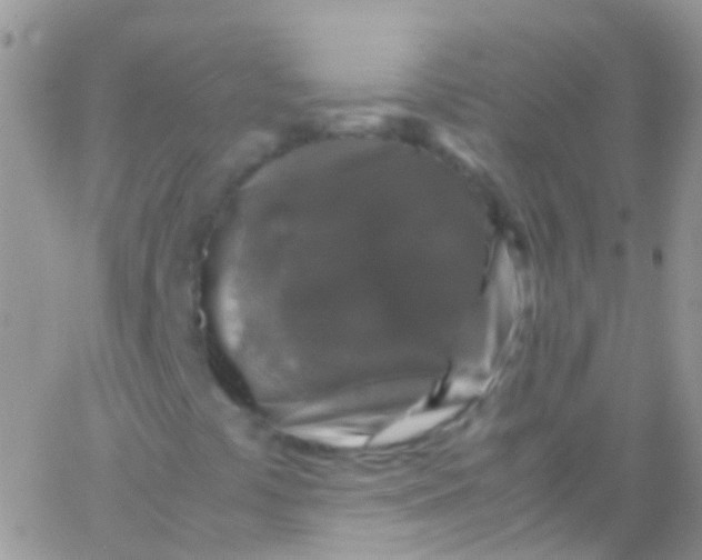 X0000066001441200603172153