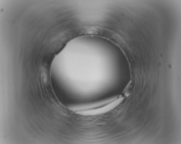 X0000066001442200603172153