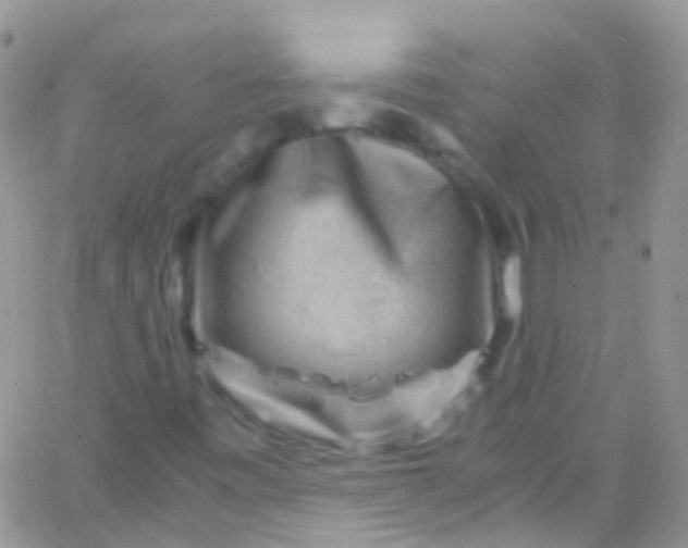 X0000066001443200603172153