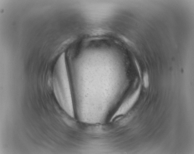 X0000066001444200603172153