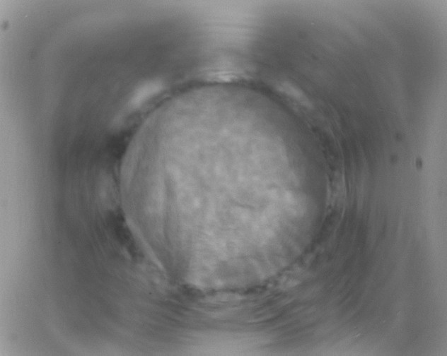 X0000066001446200603172153