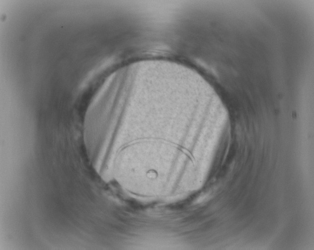 X0000066001447200603172153